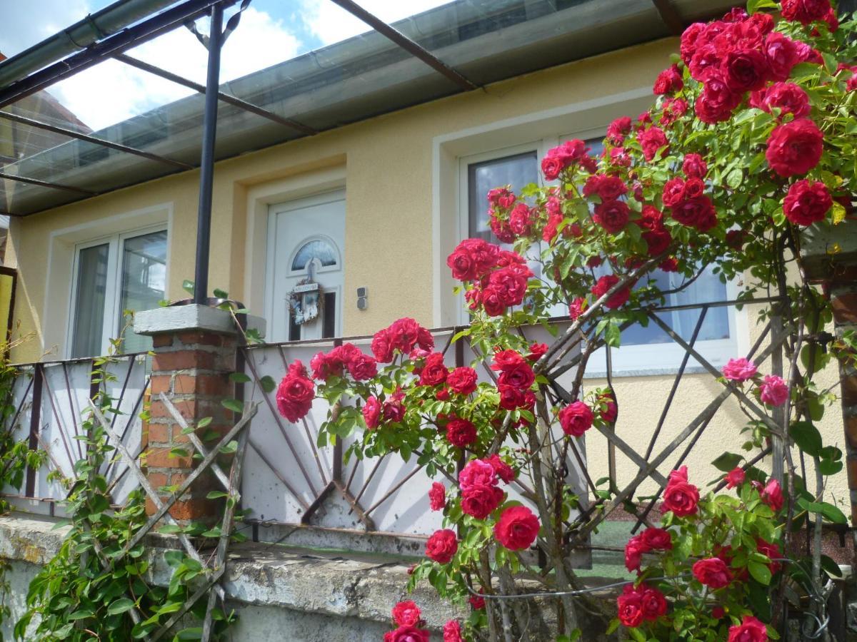Ferienhaus 1 Elbingerode  Zewnętrze zdjęcie